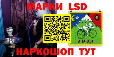 амф Кандалакша