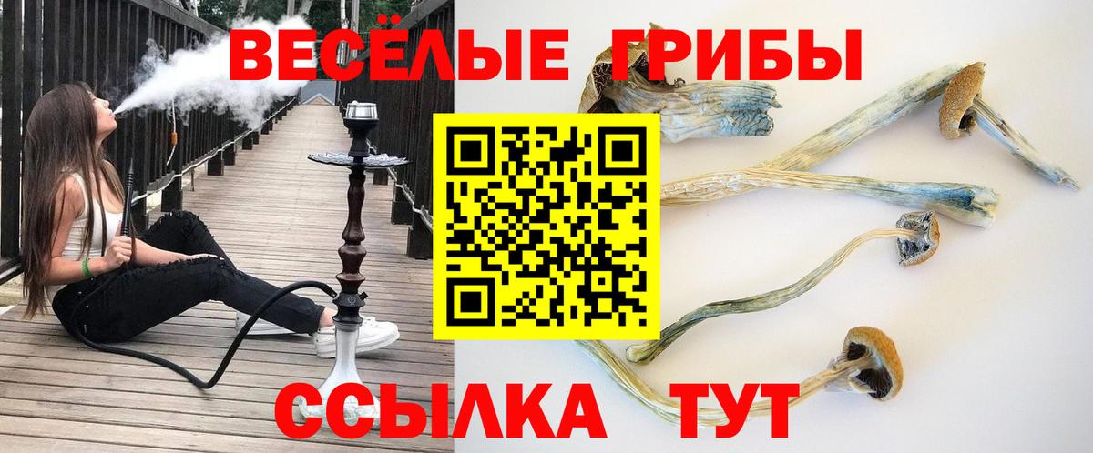 Галлюциногенные грибы Magic Shrooms Барабинск